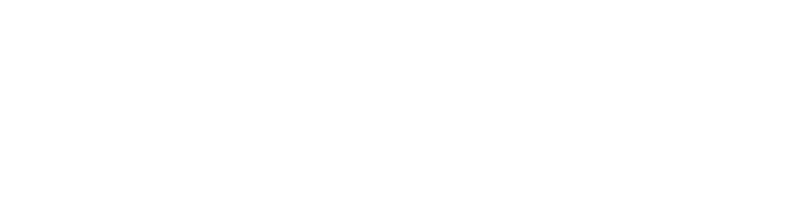 TrueNorth Advisory